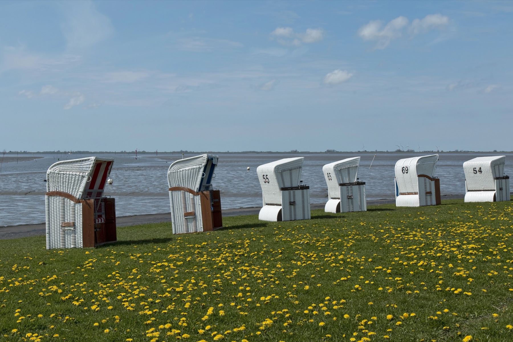 Strandkörbe am Wattenmeer bei Husum mit Blick in die Weite